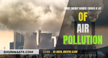 Energy Sources: The Air Pollution Connection