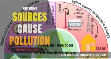 Unveiling the Dark Side: Which Energy Sources Pollute the Most?