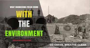 Engineering for Nature: Exploring Fields That Protect Our Environment