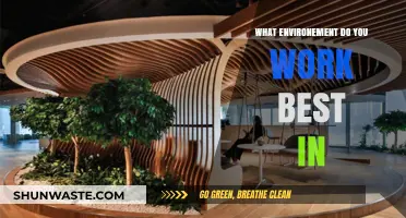 Discover Your Ideal Workspace: Unlocking Peak Productivity in the Right Environment