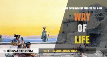 How the Unique Environment Shapes the Hopi Way of Life