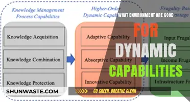 Fostering Dynamic Capabilities: Ideal Environments for Innovation and Adaptability