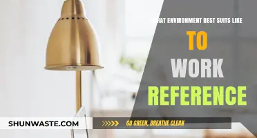 Finding Your Ideal Work Environment: A Guide to Suit Your Preferences