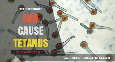 Understanding Tetanus: Environmental Factors That Increase Your Risk