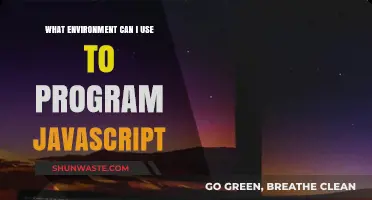 Best Environments for Programming JavaScript: Tools and Setups to Use