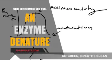 Environmental Factors That Cause Enzyme Denaturation: A Comprehensive Guide