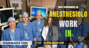 Exploring the Diverse Work Environments of Anesthesiologists: From ORs to Clinics