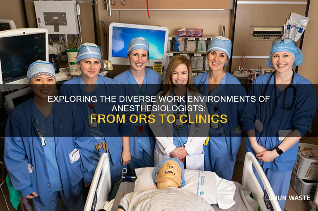 what environment do anesthesiologist work in