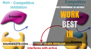 Optimal Conditions for Enzyme Activity: Unlocking Peak Performance in Specific Environments