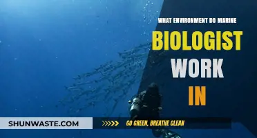 Exploring Marine Biologist Work Environments: From Ocean Depths to Labs