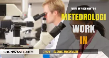 Exploring the Diverse Work Environments of Meteorologists: From Labs to Storms