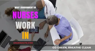 Exploring Diverse Work Environments for Nurses: From Hospitals to Home Care