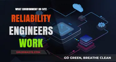 Exploring the Dynamic Work Environment of Site Reliability Engineers