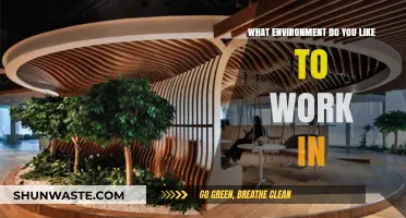 Crafting Your Ideal Workspace: Exploring Environments That Boost Productivity