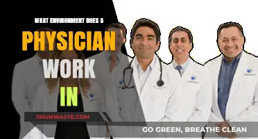 Exploring the Diverse Work Environments of Physicians: From Clinics to Hospitals
