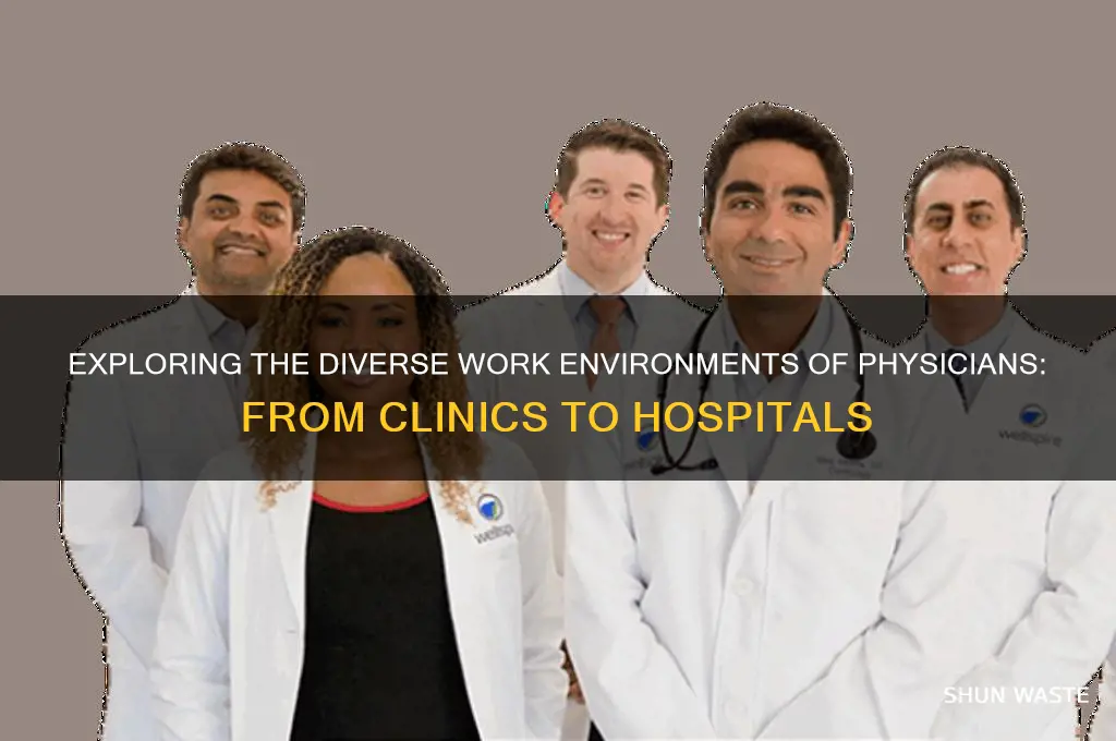 what environment does a physician work in