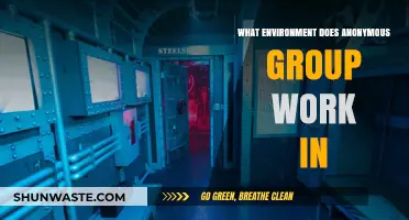 Unveiling the Hidden Environment Where Anonymous Group Operates Secretly