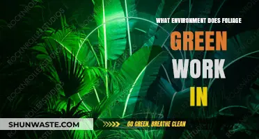 Ideal Environments for Foliage Green: Where This Shade Thrives Best