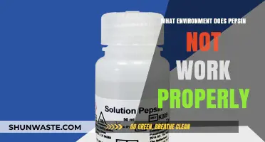 Pepsin's Limitations: Environments Where This Digestive Enzyme Fails to Function