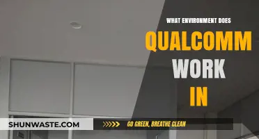 Exploring Qualcomm's Dynamic Work Environment: Innovation, Technology, and Collaboration