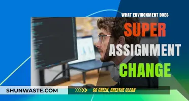 Transforming Learning Environments: How Super Assignments Drive Change and Innovation
