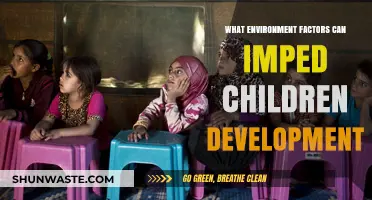 Environmental Barriers to Child Development: Key Factors and Impact