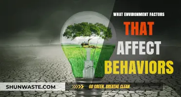 Environmental Influences: Uncovering Factors Shaping Human Behavior and Decision-Making