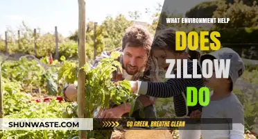 Zillow's Environmental Initiatives: Sustainable Practices and Community Impact Explained