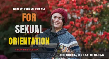 Exploring Safe and Inclusive Spaces for Sexual Orientation Expression