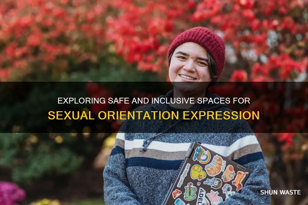 what environment i can use for sexual orientation