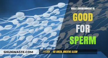Optimal Environments for Sperm Health: Temperature, Lifestyle, and Fertility Tips