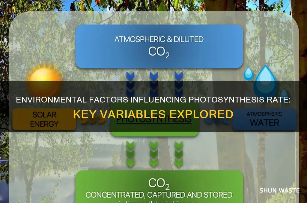 what environment variables might affect the net rate of photosynthesis