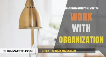 Crafting Your Ideal Work Environment: Aligning Values with Organizational Culture