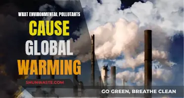 Unveiling the Culprits: Environmental Pollutants Driving Global Warming