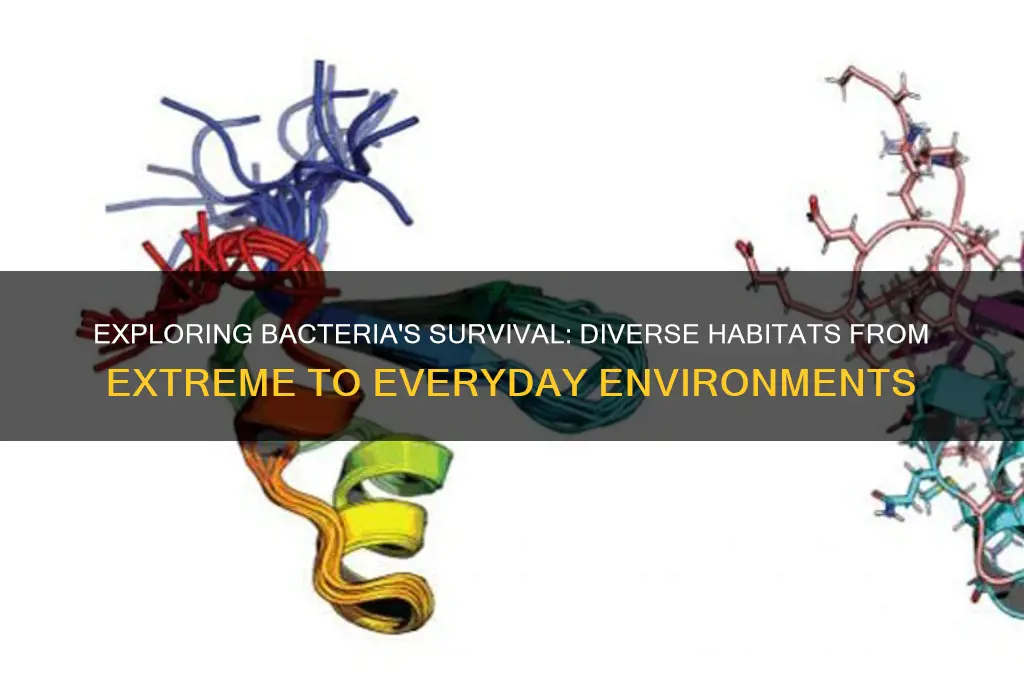what environments can bacteria live in