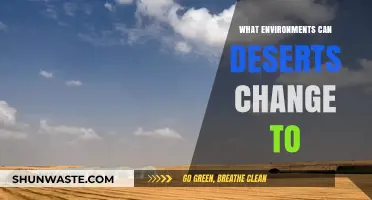 Desert Transformations: Exploring Ecosystems Deserts Can Evolve Into Over Time