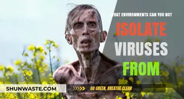Uninhabitable Zones: Environments Where Viruses Cannot Be Isolated or Survive