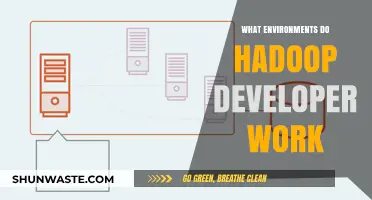 Exploring Hadoop Developers' Work Environments: Tools, Teams, and Technologies