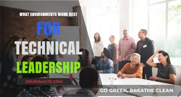 Cultivating Technical Leadership: Ideal Environments for Innovation and Growth