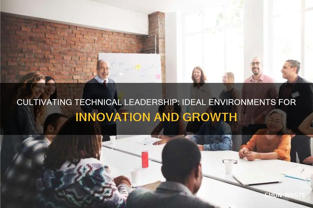 what environments work best for technical leadership