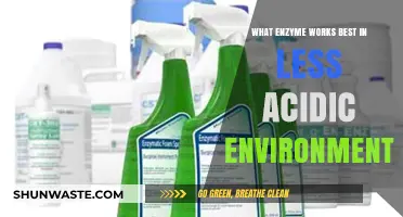 Optimal Enzyme Performance: Thriving in Mild, Less Acidic Conditions