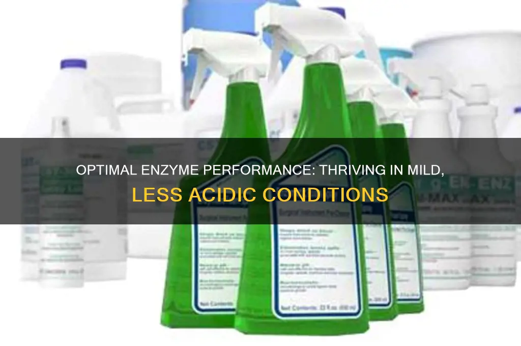 what enzyme works best in less acidic environments