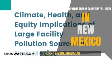 Unveiling New Mexico's Hidden Polluters: Everyday Sources of Environmental Concern