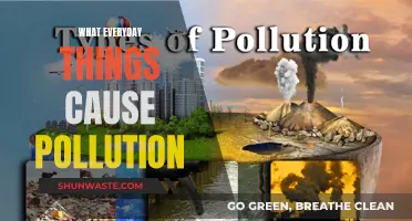 Unseen Pollutants: Everyday Items Causing Environmental Damage