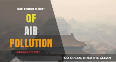 Air Pollution: Visible Signs and Scientific Proof