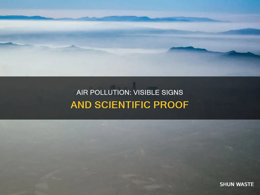 what evidence is there of air pollution