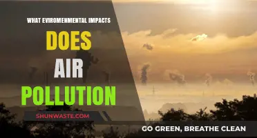 Air Pollution: Understanding Its Environmental Impact