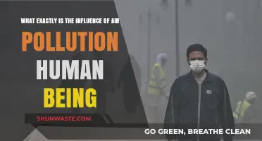 Air Pollution: Harming Human Health and Wellbeing