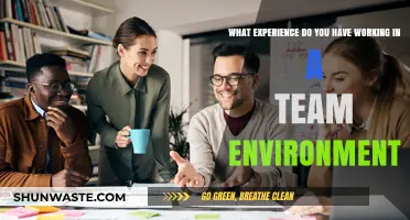 Collaborative Success: My Teamwork Experience and Lessons Learned