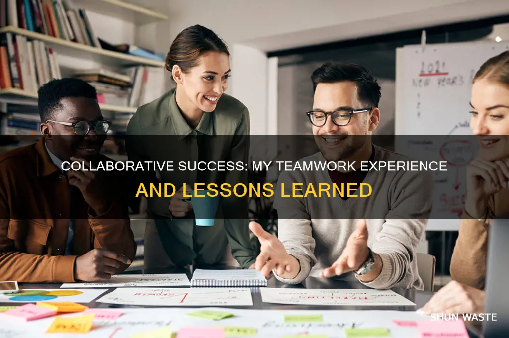 what experience do you have working in a team environment